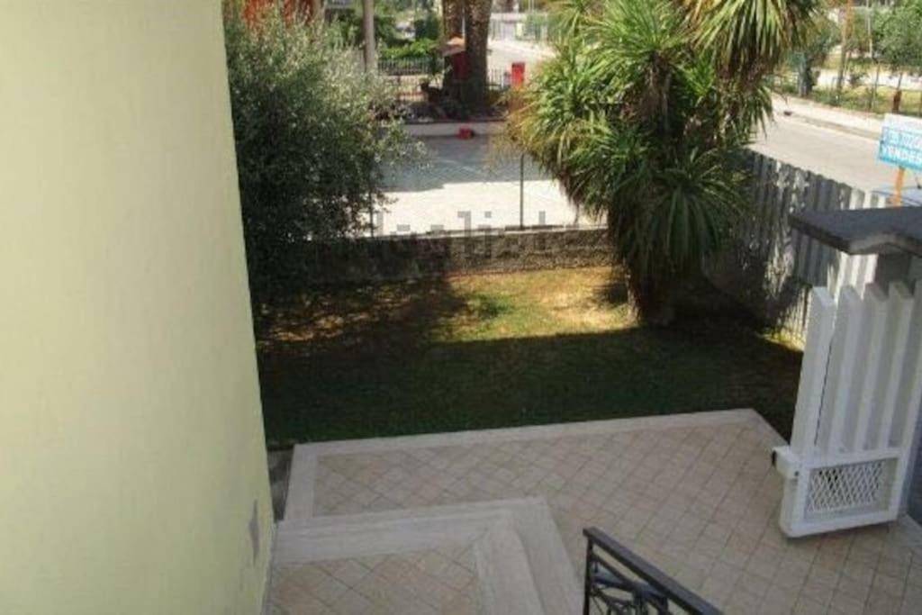 Apartment Palm